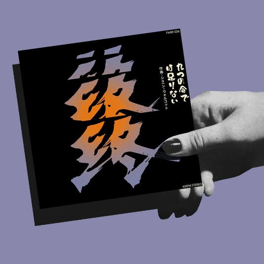 Sean Wolcott – Nine Lives Are Not Enough (7")