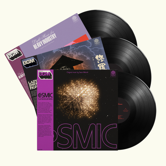 Sean Wolcott – 3LP Set (Cosmic Consciousness, Lady Swordfighter, Light Music for Heavy Industry)