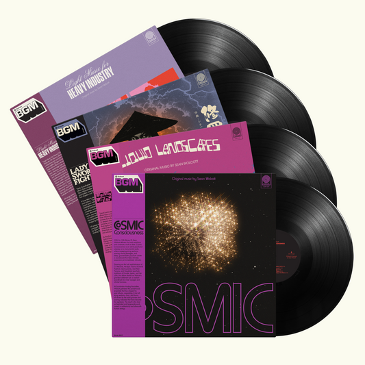 Sean Wolcott – 4LP Set (Cosmic Consciousness, Liquid Landscapes, Lady Swordfighter, Light Music for Heavy Industry)